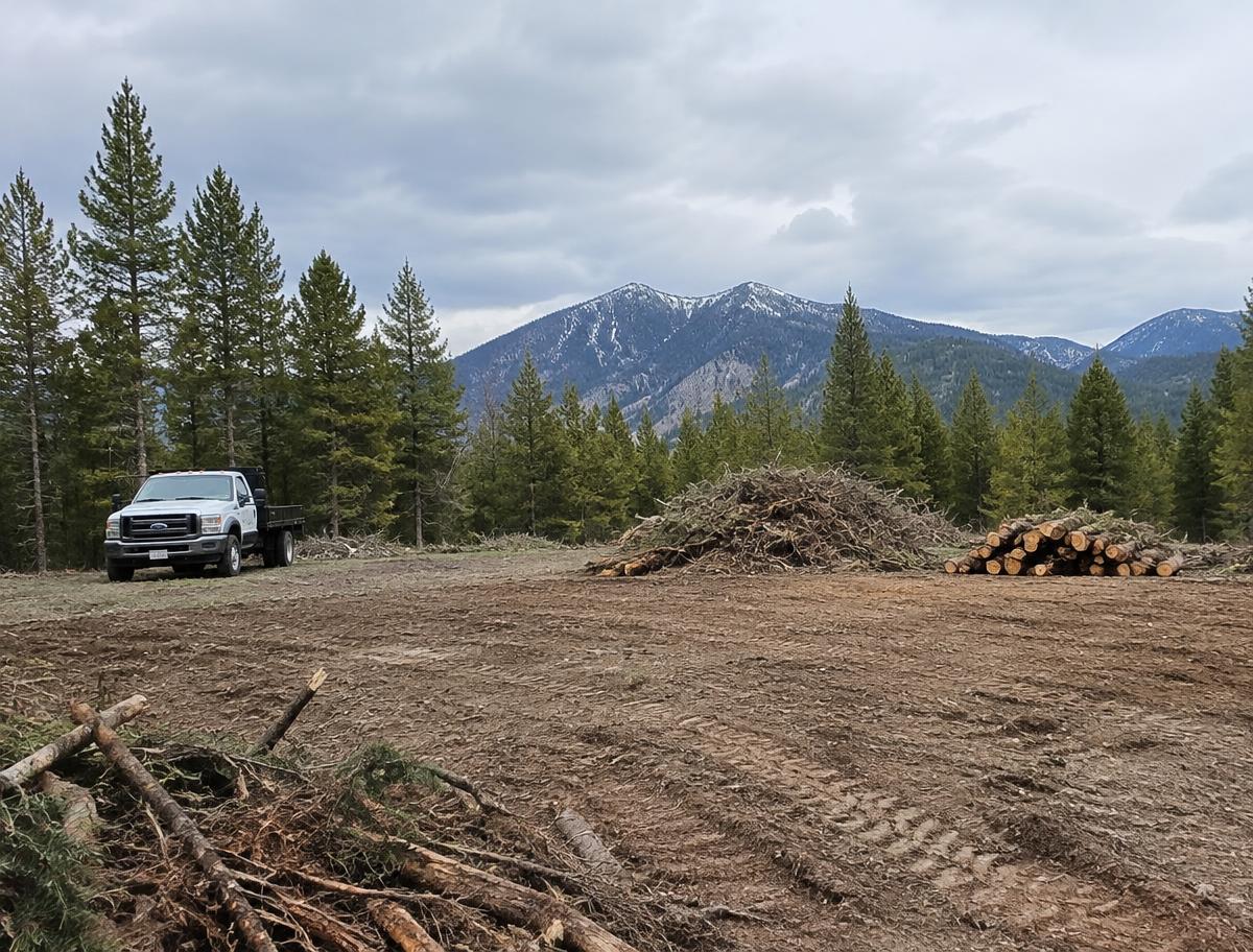 Property Cleanup & Site Clearing